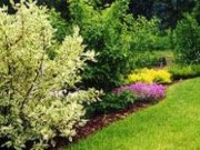 Gartenbau Imhof